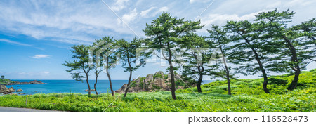 成為青森縣八戶市田上海岸海岸開木東山的“道路”的主題的風景 成為青森縣八戶市田上海岸海岸開木東山的“道路”的主題的風景 116528473