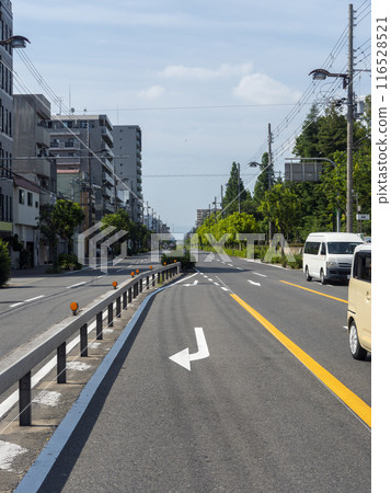 貫穿大阪市內的長居公園東筋的風景 貫穿大阪市內的長居公園東筋的風景 116528521