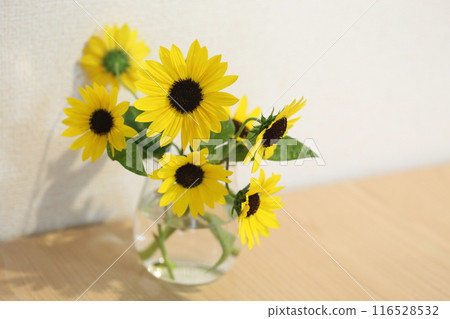 花瓶裡的迷你向日葵 花瓶裡的迷你向日葵 116528532