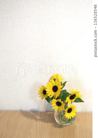 花瓶裡的迷你向日葵 116528546