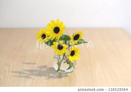 花瓶裡的迷你向日葵 花瓶裡的迷你向日葵 116528564