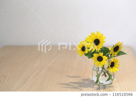 Mini sunflowers in a vase Mini sunflowers in a vase 116528566