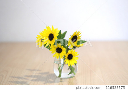 花瓶裡的迷你向日葵 花瓶裡的迷你向日葵 116528575