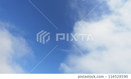 藍天白雲 116528590