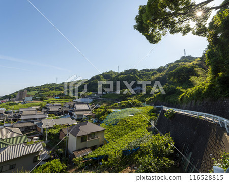 遍佈新綠葡萄園的柏原市高尾山 遍佈新綠葡萄園的柏原市高尾山 116528815