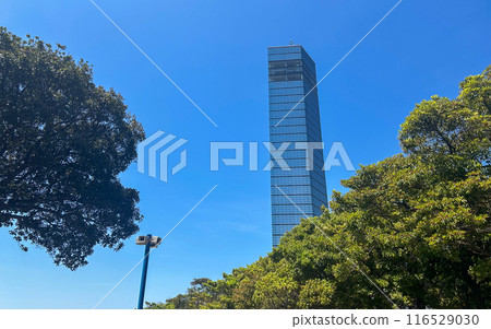千葉港塔和大自然 千葉港塔和大自然 116529030
