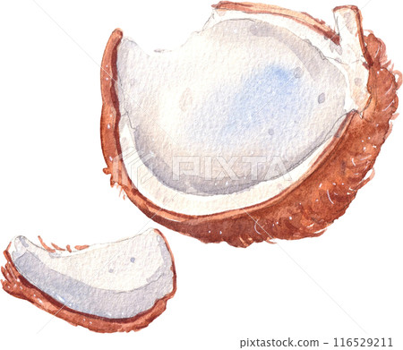 Coffee culture watercolor png icon 116529211