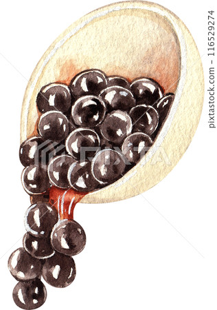 Bubble milk tea watercolor icon 116529274