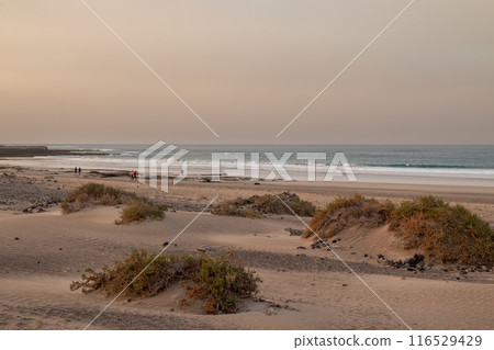 Sandy beach and Atlantic ocean, Lanzarote, Spain Sandy beach and Atlantic ocean, Lanzarote, Spain 116529429