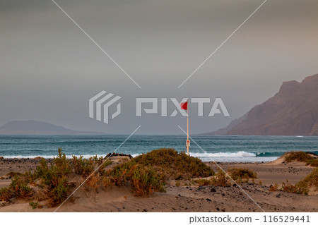 Sandy beach and Atlantic ocean, Lanzarote, Spain Sandy beach and Atlantic ocean, Lanzarote, Spain 116529441