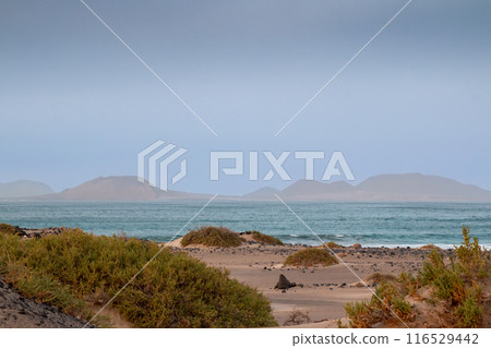 Sandy beach and Atlantic ocean, Lanzarote, Spain 116529442
