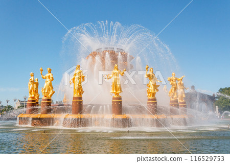 Nation or Peoples Friendship Fountain in VDNKh 116529753