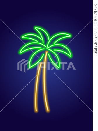 Neon glowing colorful palm tree Neon glowing colorful palm tree 116529798