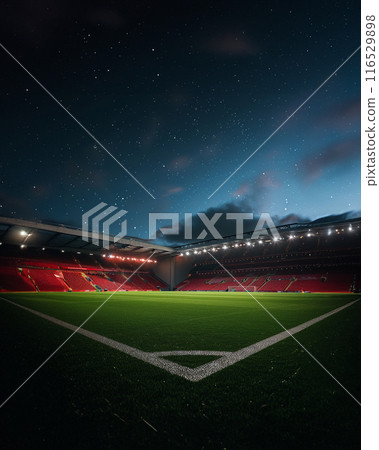 Empty stadium of football soccer under the starry night sky 116529898