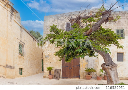 Impression from the historic Maltese city of Mdina without people Impression from the historic Maltese city of Mdina without people 116529951