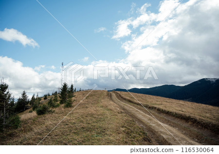 Mountain path among trees and open areas in the Carpathian Mountains. Beautiful nature landscape. Ukraine 116530064