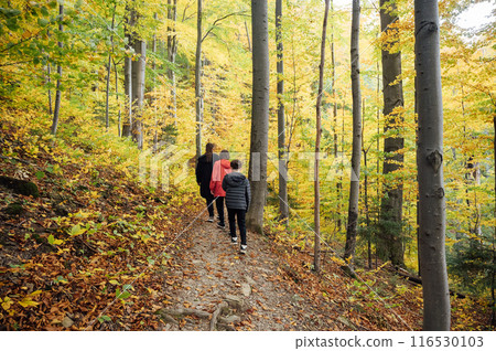 Mountain path among trees and open areas in the Carpathian Mountains. Beautiful nature landscape. Ukraine Mountain path among trees and open areas in the Carpathian Mountains. Beautiful nature landscape. Ukraine 116530103