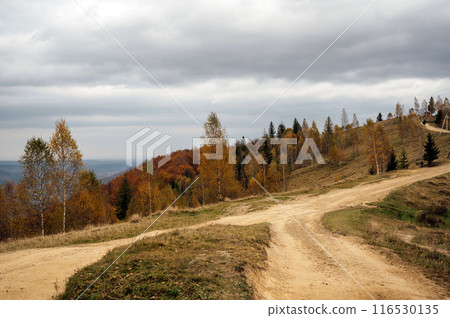 Golden autumn in the Carpathians. Mining arrays combined with trees with yellow leaves. Beautiful clouds and sun Golden autumn in the Carpathians. Mining arrays combined with trees with yellow leaves. Beautiful clouds and sun 116530135