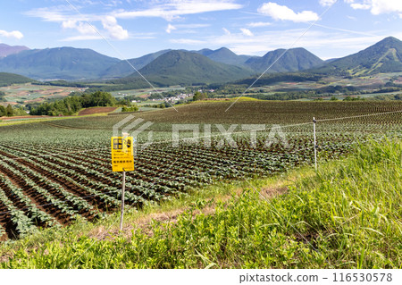 Electric fence Electric fence Electric fence Electric fence 116530578