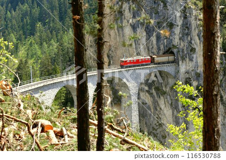 A freight train coming out of the tunnel and approaching the magnificent Landwasser Viaduct 116530788