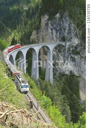 The magnificent Landwasser Viaduct and the pure white electric locomotive stand out against the surrounding trees. 116530789
