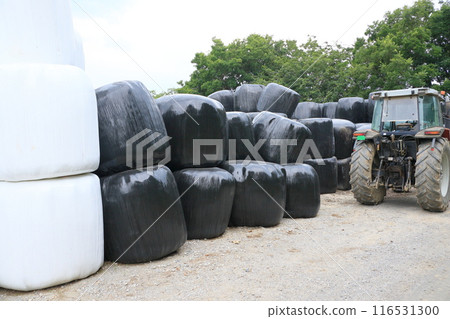 Stacked wrap silage, pasture grass being stored and fermented Stacked wrap silage, pasture grass being stored and fermented 116531300