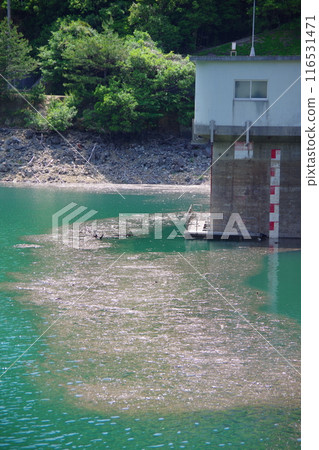 兵庫縣淡路島大二川水壩 兵庫縣淡路島大二川水壩 116531471