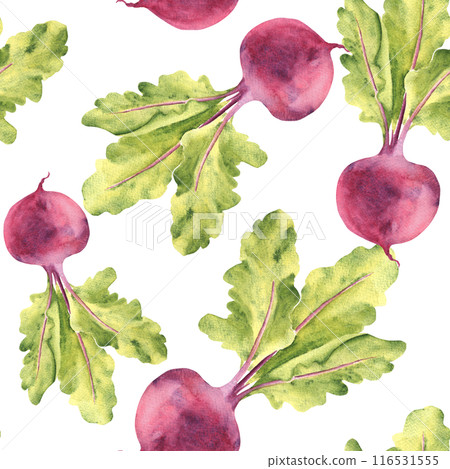 Watercolor Seamless Pattern with Beet root and green Leaves on a white background. Can be used for kitchen textile prints, product packaging design. Watercolor Seamless Pattern with Beet root and green Leaves on a white background. Can be used for kitchen textile prints, product packaging design. 116531555