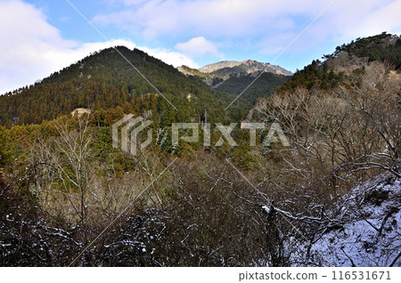 從丹澤山地矢備津嶺眺望大山 從丹澤山地矢備津嶺眺望大山 116531671