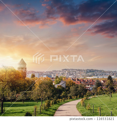Germany, Stuttgart panorama view. Beautiful houses in autumn, Sky and nature landscape. Vineyards in Stuttgart - colorful wine growing region in the south of Germany with view over Neckar Valley 116531821