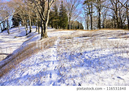 Yomogi-daira in the Tanzawa Mountains: Traces leading to the snowy mountains 116531848