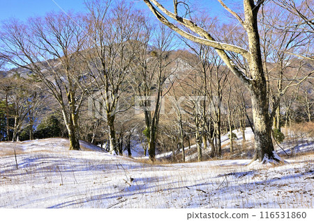 嚴冬時節，從丹澤山雪原上的葉木平眺望山能塔 116531860