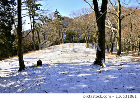 Tanzawa Mountains in the harsh winter: View of Sannoto and Ninoto from Yomogi-daira, a snowy plain and forest Tanzawa Mountains in the harsh winter: View of Sannoto and Ninoto from Yomogi-daira, a snowy plain and forest 116531861