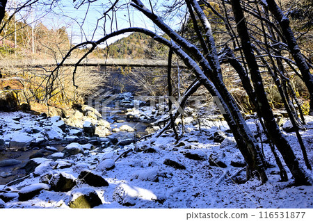丹澤山脈、雪景、富川吊橋 116531877