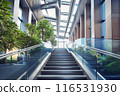 The stairs 116531930