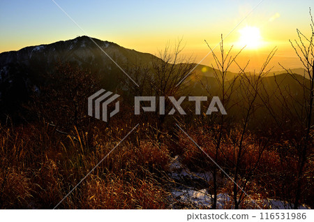 從丹澤二能登眺望大山與旭日 從丹澤二能登眺望大山與旭日 116531986