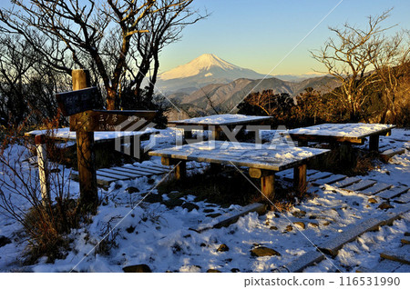 清晨的陽光下，從丹澤二能登山頂眺望富士山 116531990