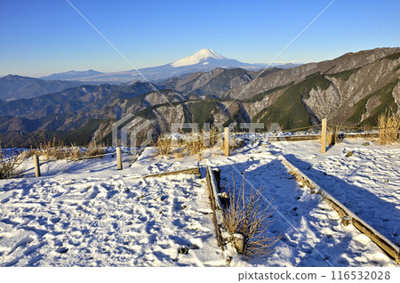 從丹澤三能山頂的雪峰看到的富士山 116532028