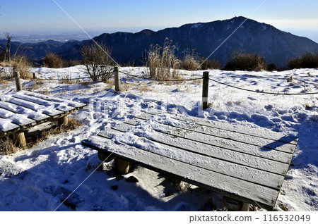 從丹澤山能登雪峰看到的大山 116532049