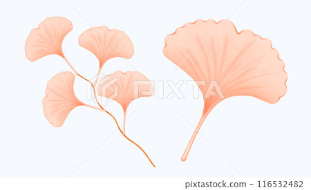 Cute Watercolor Fall Clipart - Download Cozy Autumn Illustration 116532482