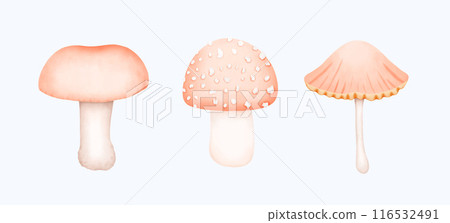Cute Watercolor Fall Clipart - Download Cozy Autumn Illustration Cute Watercolor Fall Clipart - Download Cozy Autumn Illustration 116532491