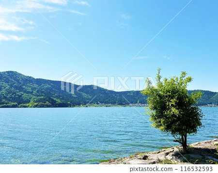 陽光明媚的日子裡的湖邊風景 陽光明媚的日子裡的湖邊風景 116532593
