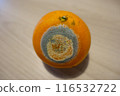 Rotten tangerines are everywhere 116532722