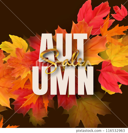 Autumn Sale Poster with Falling Leaves. Vector Illustration 116532963