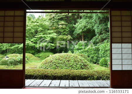 View from the Dairin no Ma, the courtyard of Unryu-in Temple in early summer View from the Dairin no Ma, the courtyard of Unryu-in Temple in early summer 116533171