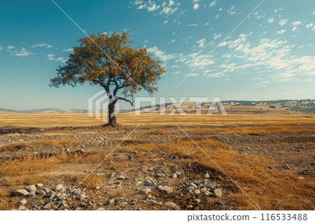 Lone green tree in dried cracked earth symbolizing hope and resilience amidst adversity 116533488