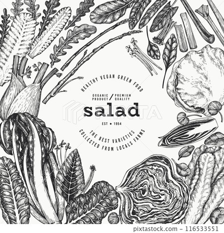 Green Vegetable Design Template. Vector Hand Drawn Healthy Leaf Salad Banner. Vintage Style Menu Illustration. 116533551