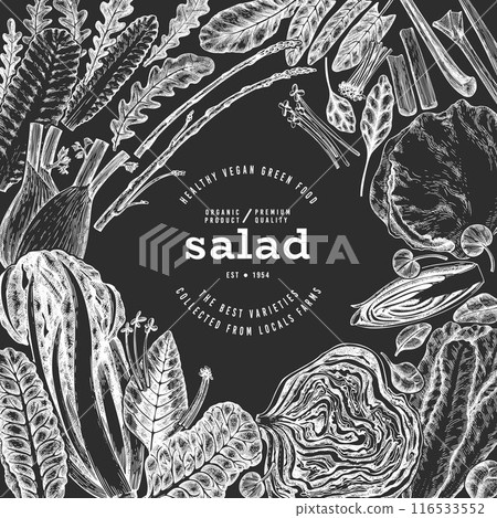Green Vegetable Design Template. Vector Hand Drawn Healthy Leaf Salad Banner. Vintage Style Menu IllustrationOn Chalk Board. 116533552