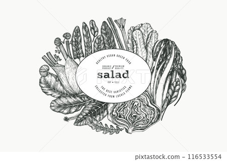 Green Vegetable Design Template. Vector Hand Drawn Healthy Leaf Salad Banner. Vintage Style Menu Illustration. 116533554