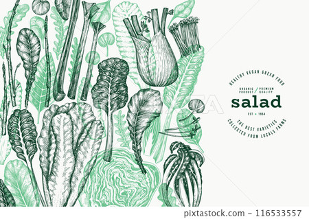 Green Vegetable Design Template. Vector Hand Drawn Healthy Leaf Salad Banner. Vintage Style Menu Illustration. 116533557
